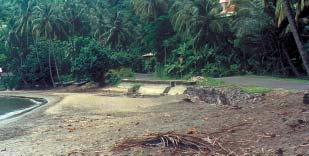 Beach erosion February, 1987 After Hurricane Hugo, 1989 After Hurricane