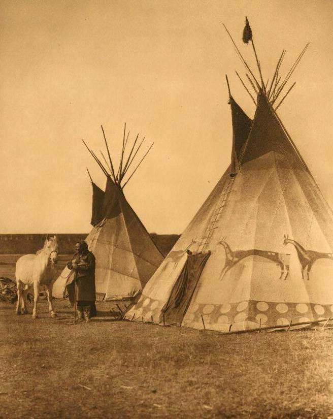 Early Shelter/Housing by Scarlet The Sioux lived in the Great Plains. They lived in tipis made of buffalo hides and wooden poles.