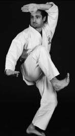 WTKO HOMBU DOJO Sensei Scott Langley 6 th Dan Welcome to Karate Appealing to men, women and children, karate provides a safe and healthy means of learning how to protect oneself.