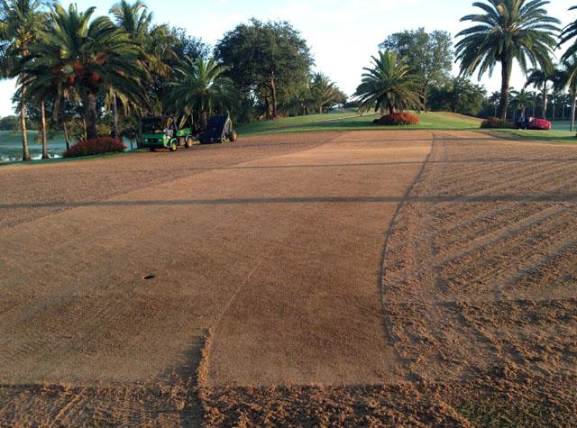 June 2013 - Trump International Golf Club re-grassed all 18 tournament-ready greens of The Championship Course with new TifEagle bermudagrass.