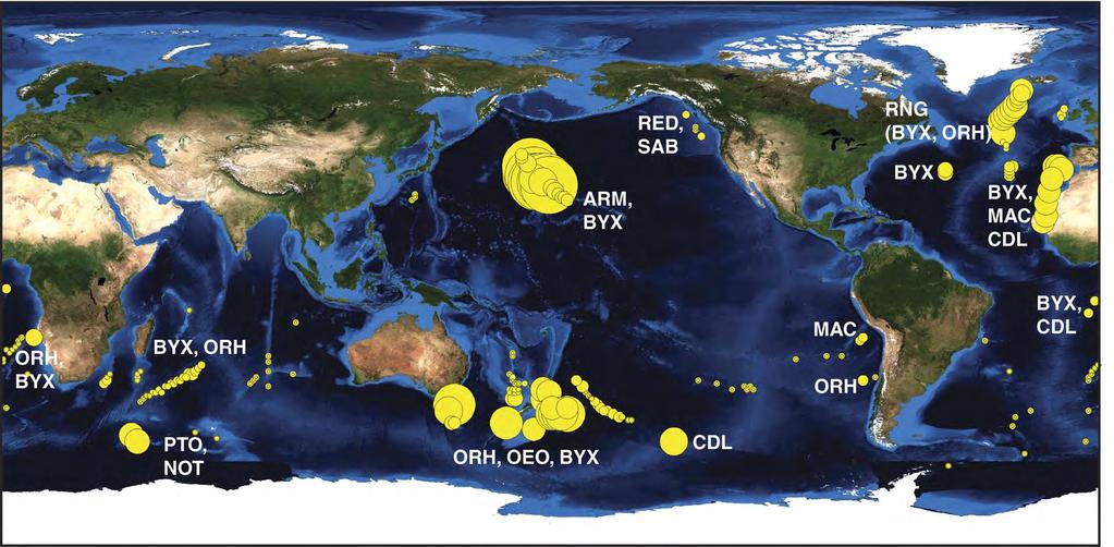 Global seamount trawling From Clark et al, 2007 Extensive bottom trawl