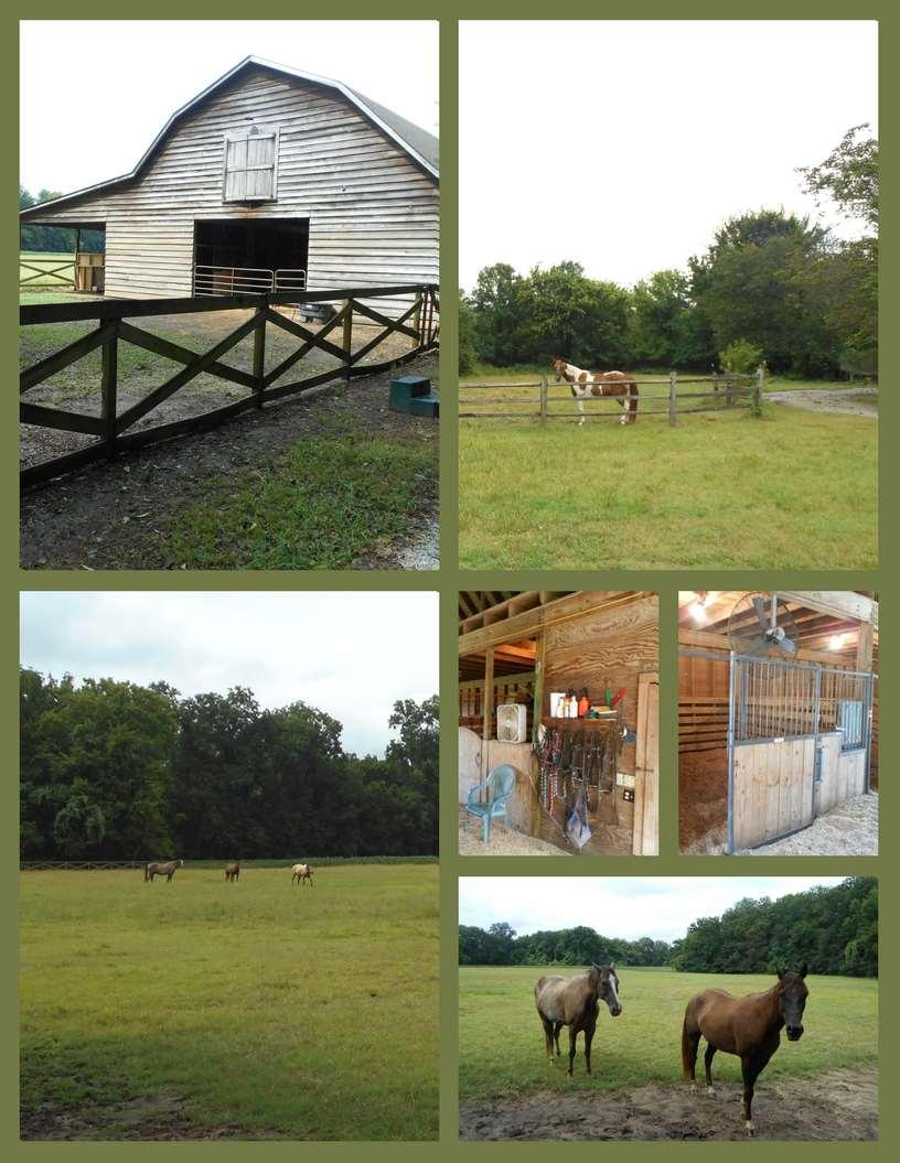 Horse Stable with Fenced Pasture The club has miles