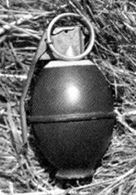 B M33/67 Fragmentation Grenade Hazards: Cocked Striker, HE & Frag Weight: 0.875 lbs Height: 3.