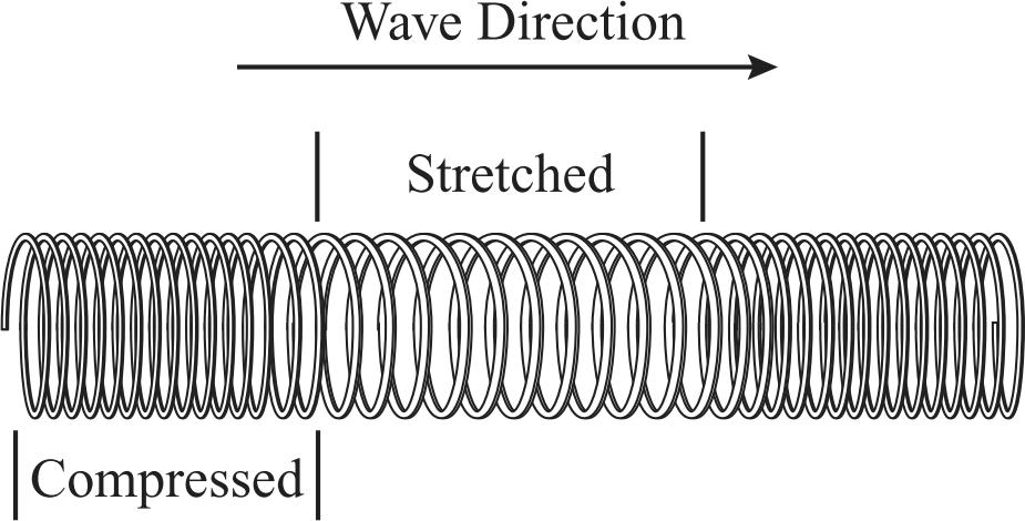 13. The diagram below shows a wave trace. 16. The figure below shows a spring with a wave traveling through it. Which type of wave is illustrated?. sound. transverse. longitudinal.