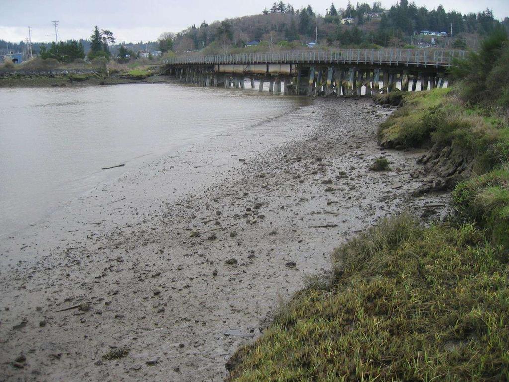 Proposed Olympia Oyster Restoration Site: