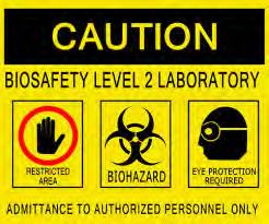 BSL2 Labs What Defines 2 Moderate potential hazard to animals Endemic in nature (people have been exposed to these before) Illness is treatable or preventable BSL1 micro-biological techniques are