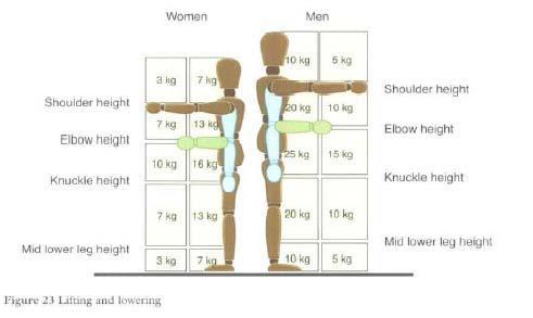 LIFTING AND LOWERING Each box in the diagram contains a guideline weight for lifting and lowering in that zone.