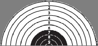 2013 IDAF Rules 45 11.3.6 Scoring 11.3.6.1 Value of shots. 10m air pistol targets have 11 concentric rings. The point values associated with the outer 10 rings are 1, 2, 3, etc.
