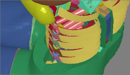 However the bottom thorax and abdomen rib deflections