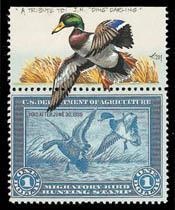Duck Stamp Remarques These are very special, one-of-a-kind stamps