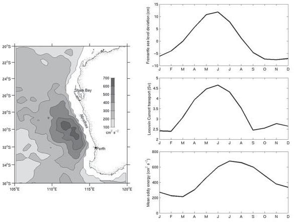 Feng et al.: Climate variability and ocean production in the Leeuwin Current system Figure 3. Long-term mean surface eddy kinetic energy derived from satellite altimeter data (left panel).