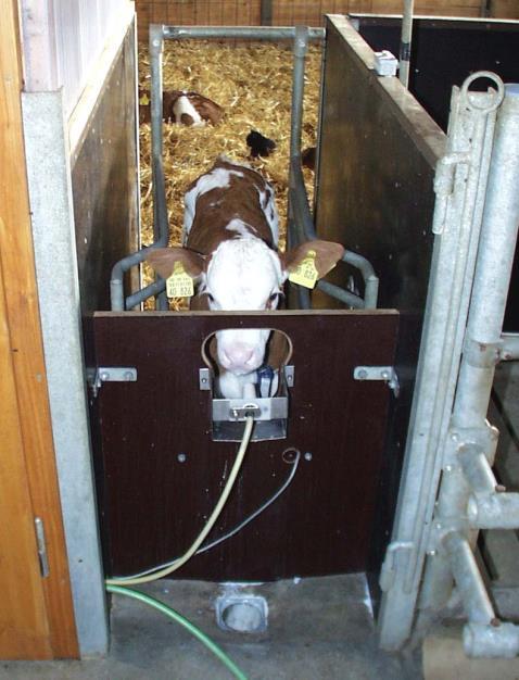 Checking suction hose and teat It is imperative to regularly check the suction hoses and teats.