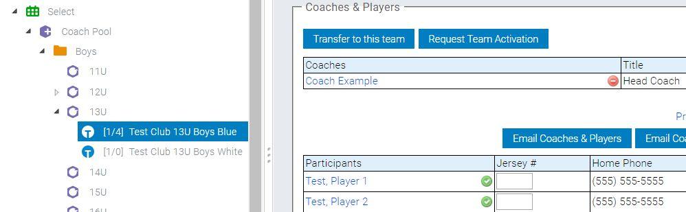 To request a team to be approved, click the Request Team Activation button.