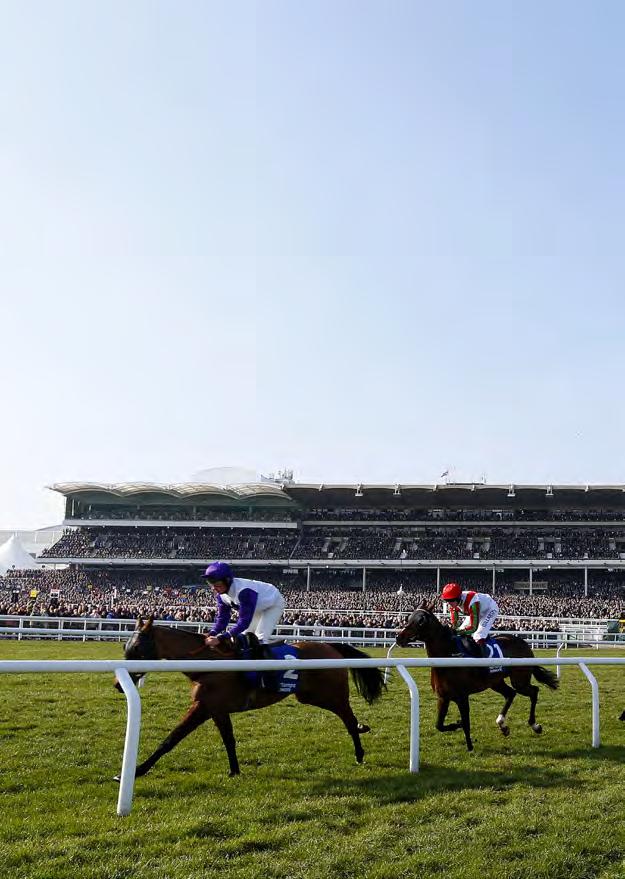 - WELCOME - Like all fans of National Hunt racing, we are in full agreement that there is nothing quite like the four days of the Cheltenham Festival.
