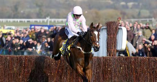 RYANAIR STEEPLE CHASE Vautour produced another Cheltenham masterclass last year - STAT ATTACK - Winner s Age 6, 10, 8, 9, 10, 8, 7, 8, 7, 7 Winner s SP 9/2, 4/1, 6/1, 14/1, 6/1, 7/2f, 9/2, 3/1f,