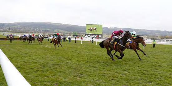 JCB TRIUMPH HURDLE Ivanovich Gorbatov (far side) comes out on top in last year s Triumph Hurdle - STAT ATTACK - Winner s Age Contest restricted to four-year-olds Winner s SP 11/2, 5/1, 11/2, 6/1,