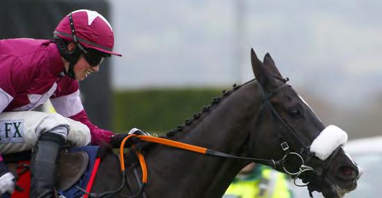 TIMICO CHELTENHAM GOLD CUP STEEPLE CHASE Don Cossack landing last year s Gold Cup - STAT ATTACK - Winner s Age 7, 7, 8, 9, 6, 9, 8, 8, 8, 9 Winner s SP 15/2, 5/4f, 9/4, 7/4f, 7/2f, 8/1, 11/4f, 20/1,