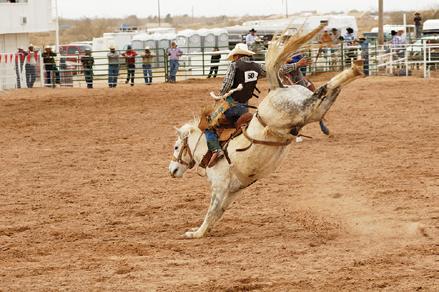 WELFARE ASSESSMENT SCENARIO: BUCKING STOCK AND BARREL HORSES Traveling (continued) Competition.