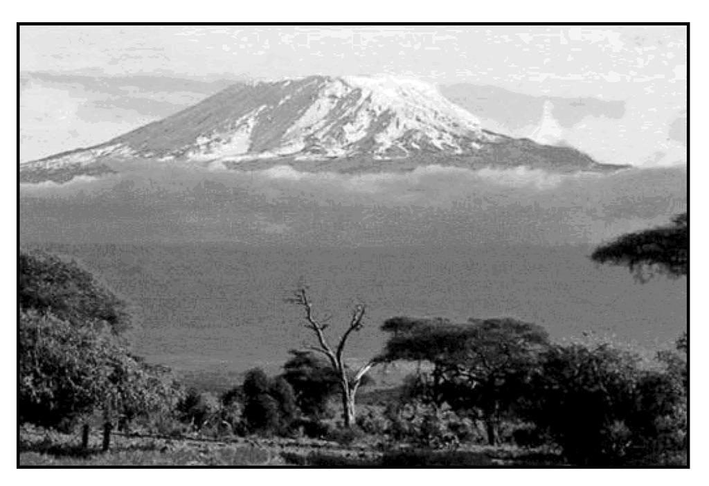 110. The photograph below shows Mt. Kilimanjaro, a volcano in Africa, located near the equator. Which climate factor is responsible for the snow seen on Mt. Kilimanjaro? A) high latitude B) high elevation C) nearness to a cold ocean current D) nearness to a high-pressure weather center 111.