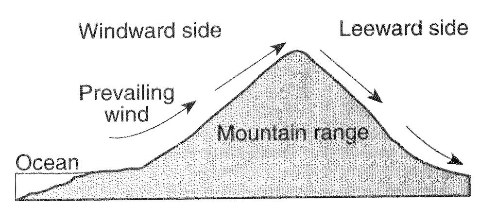 17. The cross section below shows the prevailing winds that cause different climates on the windward and leeward sides of this mountain range.