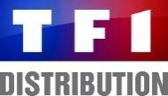 A 1 ST HALF-YEAR HIGHLIGHTING THE GROUP TRANSFORMATION The TF1 group continues its
