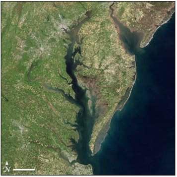 Case Study: Chesapeake Bay, USA-2 Researchers use satellite measurements of ocean color to estimate the amount of microscopic plant life that lives in the Chesapeake Bay and other bodies of water.