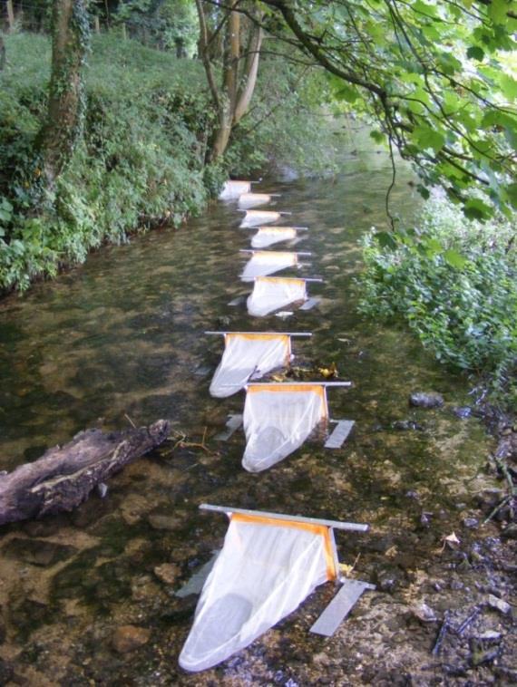 Technical Guidance Upper Itchen Augmentation Scheme Tested in 2011 Ecological Monitoring Results not clear-cut Potential impacts Informed decision making process