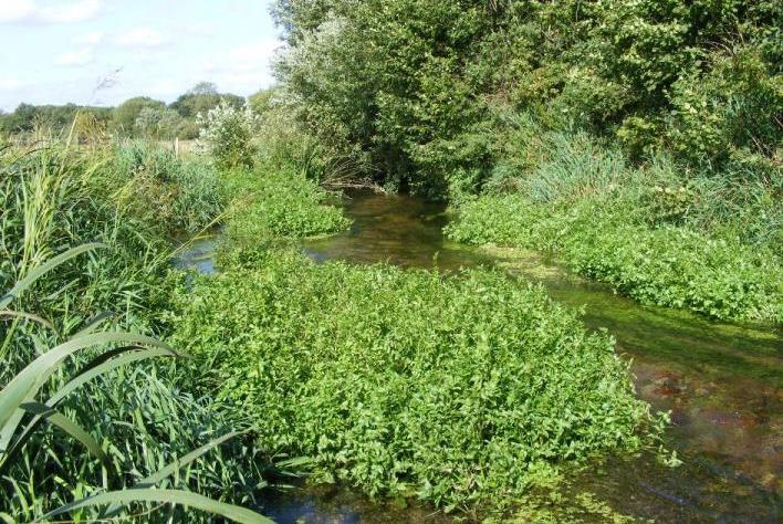 procedures Habitat enhancement Environment Agency Technical advice and supervision