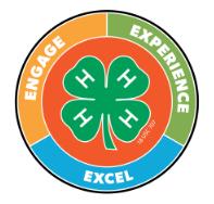 Tips for 4-H Award Applications With the introduction of the Illinois 4-H Experience Award application last year, we know there are still questions about how to complete this form.