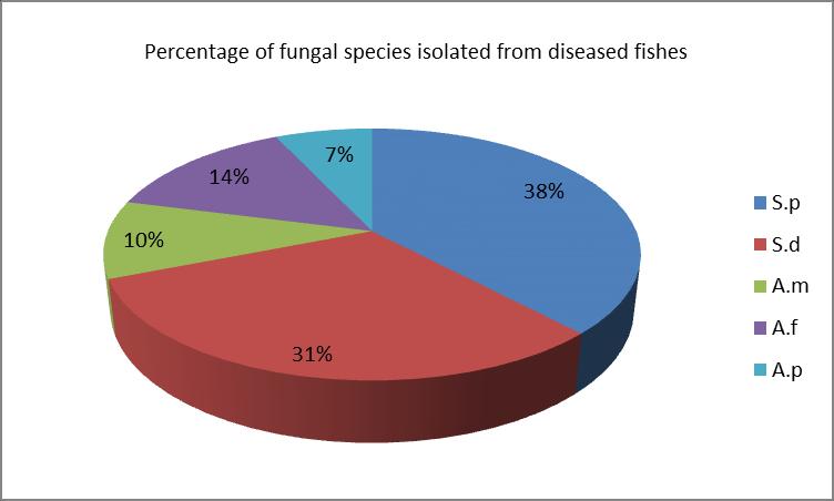 Table 6: Artificial infection trails conducted with A.prolifera on different species of fishes S.NO Fish species No.