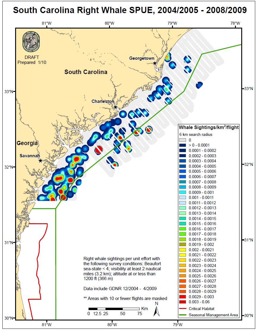 Figure 6-10. Right whale sightings per unit effort (SPUE). As illustrated in Figure 7-10, there are several areas off the coast of Georgia that trend toward the yellow, orange and red colors.