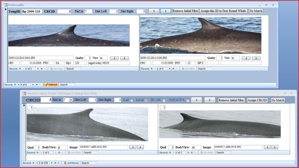 Figures Figure 1. Screen shot of the MS Access digital catalog matching system designed for managing image comparisons.