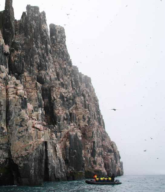 5 knots Wind Direction: W Sea Temp: 1 C Having visited the bird cliffs of Alkefjellet this morning, I have started to suspect that it was actually here that Alfred Hitchcock got the inspiration for