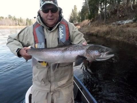 By: David Burton 3 days on the on the Miramichi River, Blackville, New Brunswick Canada. 7 total - catch and release. The guide recommended a 9 wt.