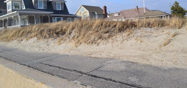 Even on very small sites with less than ideal conditions, beach grass can be used to create protective dunes.
