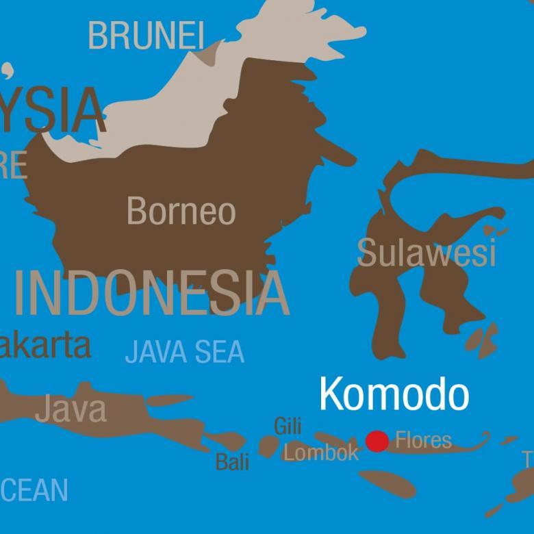The diving Forget the Great Barrier Reef, the Red Sea, Thailand and the Philippines Komodo BEATS it! The crystal clear waters of Komodo National Park are home to over 1.