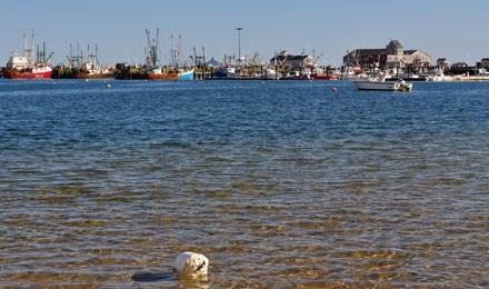 From rural Eastham to the vibrant artist colony of Provincetown, a diverse mix of activities awaits you in Cape Cod.
