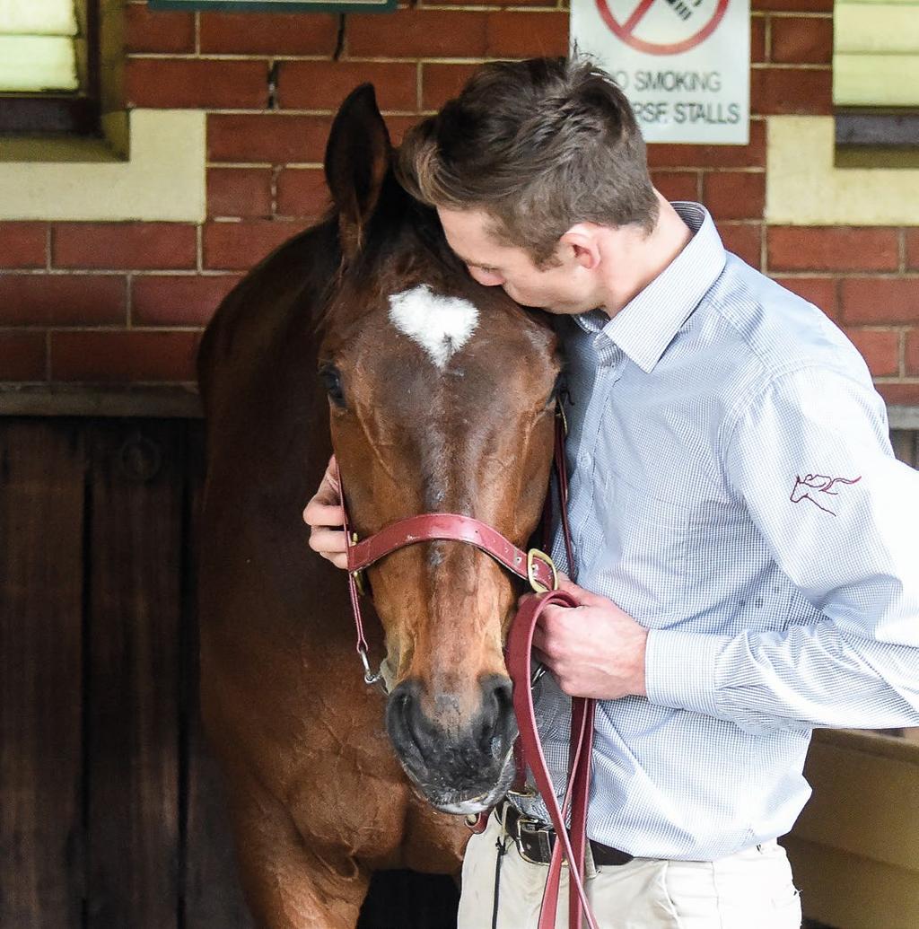 Racing Victoria s vision is to be a leader in equine welfare and build a racing culture in which the safety and welfare of the racehorse is paramount to all participants and owners.