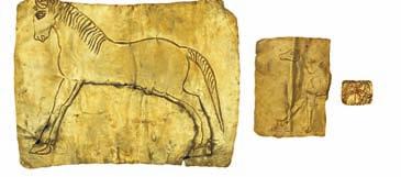 Key exhibition learning outcomes Horses were first domesticated about
