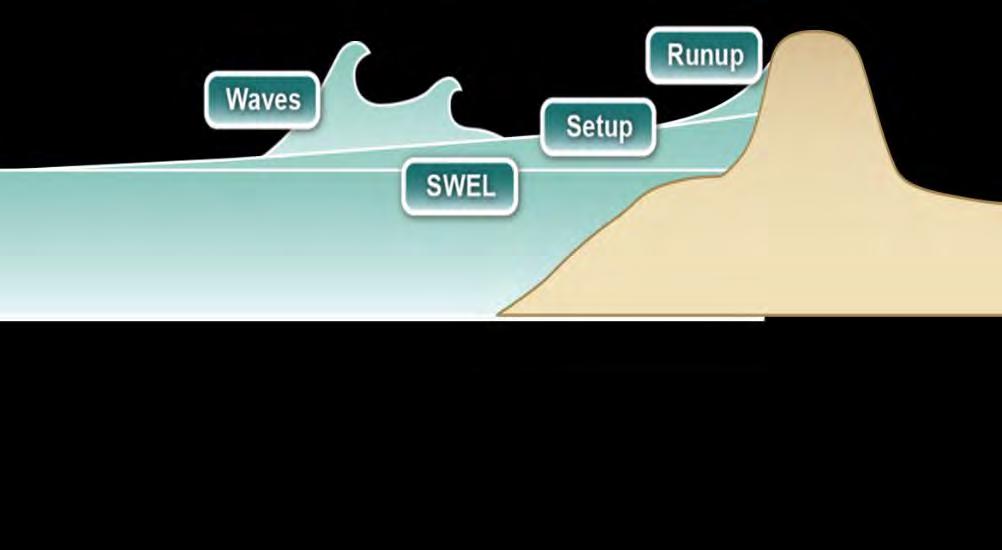 Step 2: Transect Analysis: Wave Setup and Runup Wave runup is the uprush of water from wave action on a beach