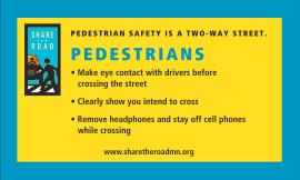 Pedestrian safety pcket