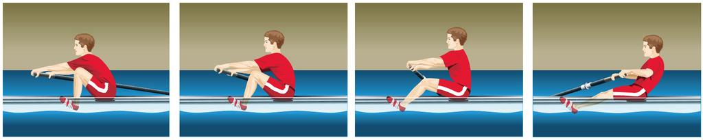 PART ONE Good rowing (sweep) and sculling technique consists of three main components: 1 THE 2 THE 3 THE DRIVE PHASE when the boat is being propelled by the actions of the rowers; RECOVERY PHASE when