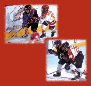INTRODUCTION TO BODY CONTACT Beginner Levels A Publication Of The USA Hockey