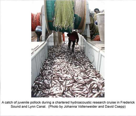 1 million pounds; 28% of US fish catch Value $323,212, 000 Dutch