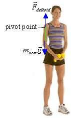 the pivot point. This eans that the distance fo the pivot point to the foce fo both cases is zeo.