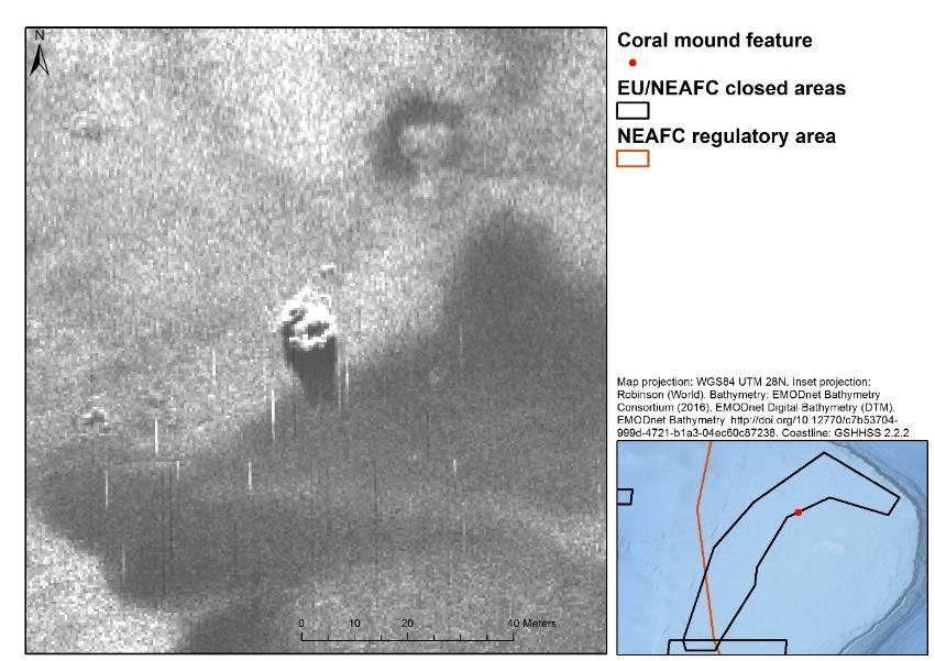 Published 20 June 2017 ICES Special Request Advice Figure 11 A coral mound sonar image and its location in relation to the