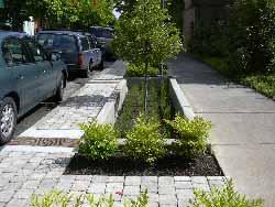 Green Streets A green street can be defined as a street designed to: integrate a system of stormwater management within its right of way reduce