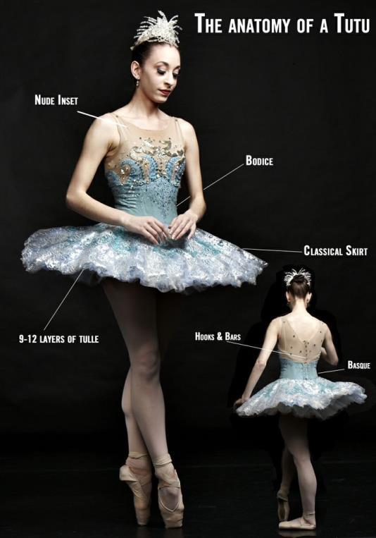 Academics & Ballet FOREIGN LANGUAGE French terminology of ballet ART