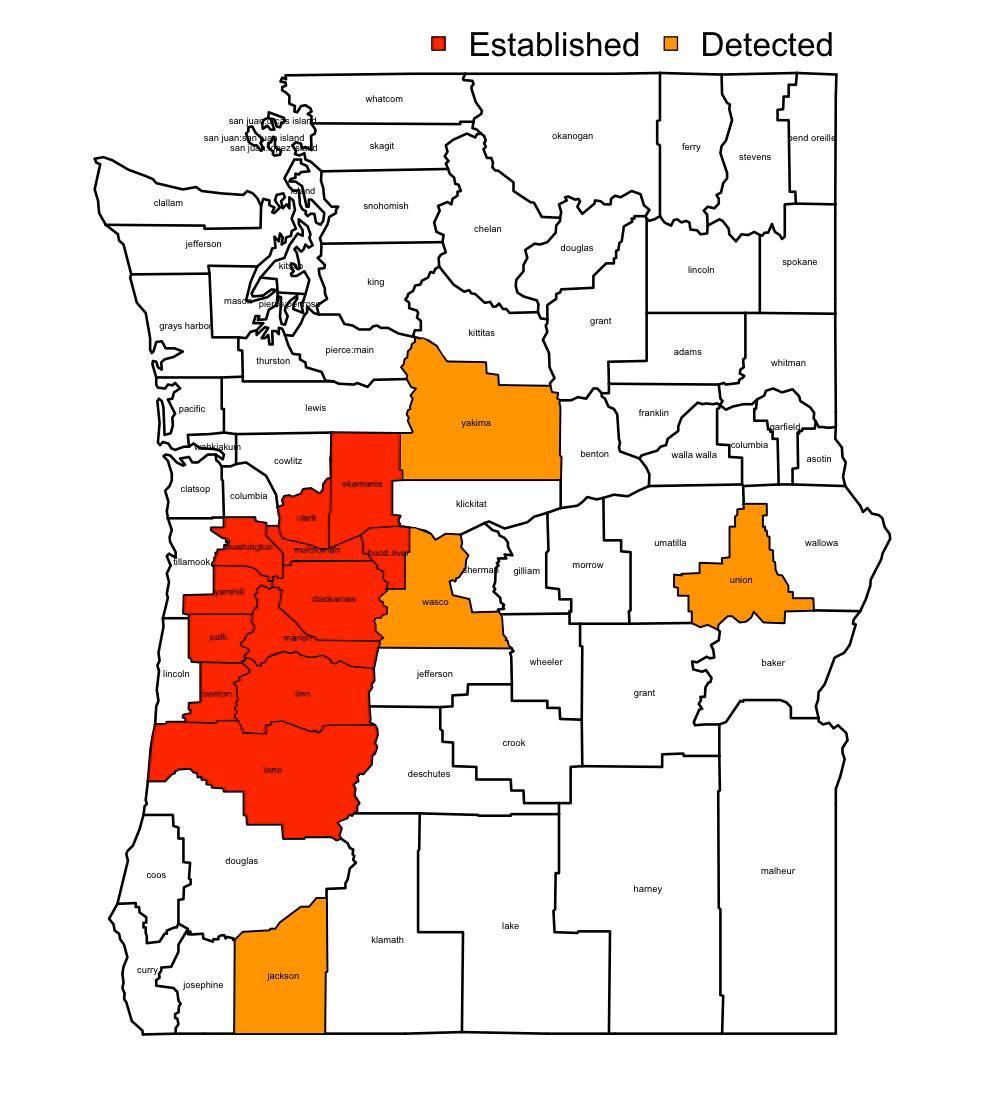 Distribution of BMSB in WA and OR