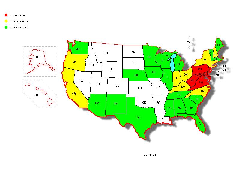 Current Distribution of BMSB in the United States Stink bugs What are the questions?